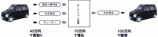 ÎԌpEI[NVwuRevo-Dv/ʏ̗